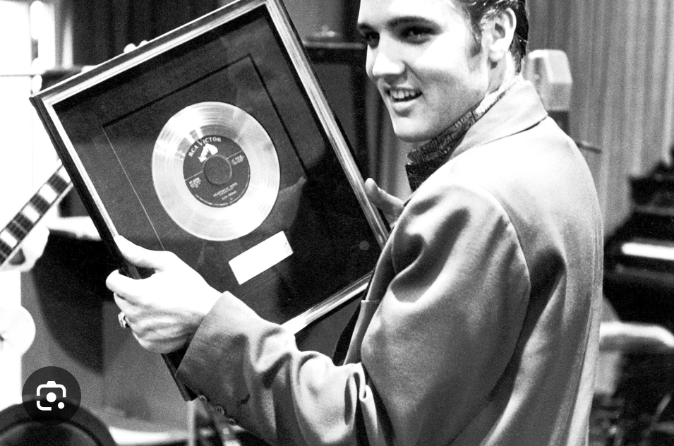 Heartbreak Hotel by Elvis Presley (1956)